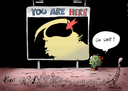 Cartoon: Lost (medium) by Paolo Calleri tagged usa,us,vereinigte,staaten,corona,covid,19,infektion,potus,praesident,donald,trump,melania,virus,gesundheit,karikatur,cartoon,paolo,calleri,usa,us,vereinigte,staaten,corona,covid,19,infektion,potus,praesident,donald,trump,melania,virus,gesundheit,karikatur,cartoon,paolo,calleri