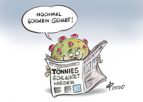 Schwein gehabt