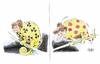 Cartoon: Chamerkeleon (small) by Paolo Calleri tagged angela,merkel,bundeskanzlerin,atompolitik,schwarz,gelb,laufzeitverlaengerung,akw,moratorium,japan,erdbeben,katastrophe,tsunami