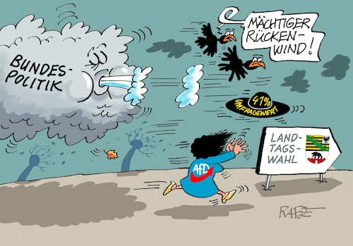 AfD Sachsen Anhalt