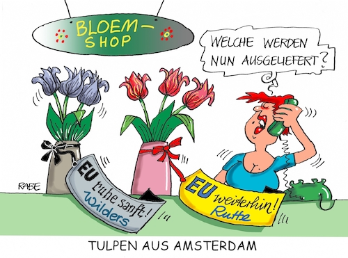 Cartoon: Blumenshop (medium) by RABE tagged niederlande,holland,auftrittsverbot,wahlkampf,türkei,ministerpräsidenten,erdogan,rabe,ralf,böhme,cartoon,karikatur,pressezeichnung,farbcartoon,tagescartoon,merkel,kanzlerin,zusicherung,hilfe,tulpen,amsterdam,wilders,rutte,parlamentswahlen,bloem,shop,niederlande,holland,auftrittsverbot,wahlkampf,türkei,ministerpräsidenten,erdogan,rabe,ralf,böhme,cartoon,karikatur,pressezeichnung,farbcartoon,tagescartoon,merkel,kanzlerin,zusicherung,hilfe,tulpen,amsterdam,wilders,rutte,parlamentswahlen,bloem,shop