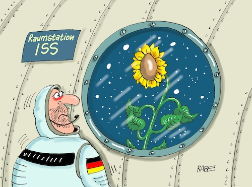 Cartoon: Grünes Wachstum (medium) by RABE tagged grüne,hessenwahl,bayernwahl,umfragewerte,umfrageplus,umweltbewusstsein,wahlergebnis,jamaikabündnis,rabe,ralf,böhme,cartoon,karikatur,pressezeichnung,farbcartoon,tagescartoon,höhenflug,wachstum,sonnenblume,ökopartei,weltall,all,raumstation,iss,grüne,hessenwahl,bayernwahl,umfragewerte,umfrageplus,umweltbewusstsein,wahlergebnis,jamaikabündnis,rabe,ralf,böhme,cartoon,karikatur,pressezeichnung,farbcartoon,tagescartoon,höhenflug,wachstum,sonnenblume,ökopartei,weltall,all,raumstation,iss