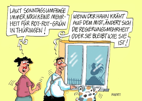 Cartoon: Hahnesträubend (medium) by RABE tagged landtagswahl,sachsen,anhalt,haseloff,cdu,afd,bürger,rabe,ralf,böhme,cartoon,karikatur,pressezeichnung,farbcartoon,tagescartoon,thüringen,ramelow,erfurt,sonntagsumfrage,rot,grün,hahn,mist,misthaufen,landtagswahl,sachsen,anhalt,haseloff,cdu,afd,bürger,rabe,ralf,böhme,cartoon,karikatur,pressezeichnung,farbcartoon,tagescartoon,thüringen,ramelow,erfurt,sonntagsumfrage,rot,grün,hahn,mist,misthaufen