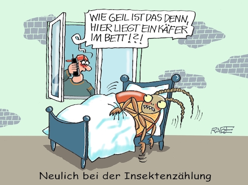 Insektenzählung