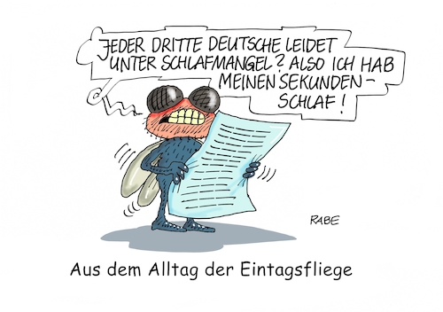 Cartoon: Sekundenschlaf (medium) by RABE tagged schönheitsschlaf,sekundenschlaf,schlafmangel,schlafdefizit,rabe,ralf,böhme,cartoon,karikatur,pressezeichnung,farbcartoon,tagescartoon,fliege,eintagsfliege,insekt,essigfliege,alltag,schönheitsschlaf,sekundenschlaf,schlafmangel,schlafdefizit,rabe,ralf,böhme,cartoon,karikatur,pressezeichnung,farbcartoon,tagescartoon,fliege,eintagsfliege,insekt,essigfliege,alltag