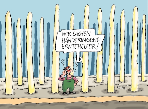 Cartoon: Spargelstecher (medium) by RABE tagged spargel,spargelzeit,spargelstangen,spargelernte,spargelstecher,spargelschäler,rabe,ralf,böhme,cartoon,karikatur,pressezeichnung,farbcartoon,tagescartoon,spargelfeld,spargelgerichte,spargelsosse,hollandaise,spargel,spargelzeit,spargelstangen,spargelernte,spargelstecher,spargelschäler,rabe,ralf,böhme,cartoon,karikatur,pressezeichnung,farbcartoon,tagescartoon,spargelfeld,spargelgerichte,spargelsosse,hollandaise