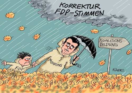 Stürmische FDP