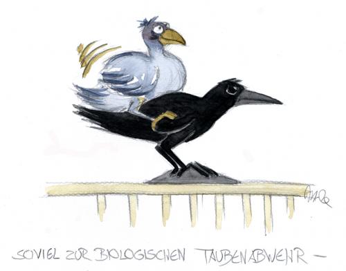 Cartoon: Plastikraben (medium) by mele tagged tauben,rabe