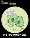 Cartoon: Mitochondriac (small) by thetoonist tagged science,microscope,cells,blood
