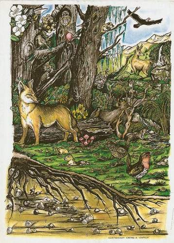 Cartoon: bosque andino-patagonico (medium) by DANIEL EDUARDO VARELA tagged bosque