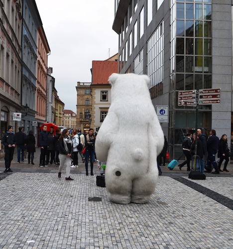 Cartoon: Tedy Go Home! (medium) by Zlatko Iv tagged street,urban,danke,bear,rock,zirkus,liebe,stil,mode,neu,humor