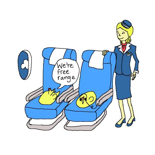 Cartoon: chickens (medium) by mfarmand tagged chicken,chickens,airplane,stewardess,freerange,flightattendent,airline