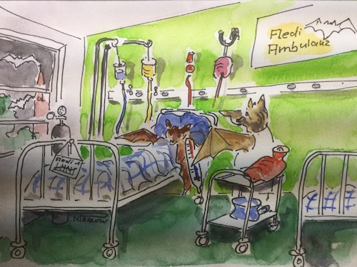 Cartoon: Fledermausklinik (medium) by Pralow tagged fledermausschutz,windkraftanlagen,naturschutz,fledermausschutz,windkraftanlagen,naturschutz,klinik,krankenhaus,betten,ambulanz,tiere,fledermaus