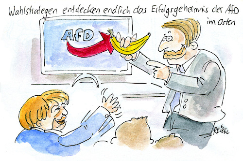 Cartoon: Bananenform (medium) by REIBEL tagged wahl,afd,merkel,partei,meinungsforschung,strategie,logo,banane,parteilogo,form,wahl,afd,merkel,partei,meinungsforschung,strategie,logo,banane,parteilogo,form