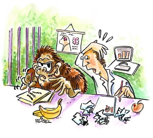 Cartoon: Intelligenztest (medium) by REIBEL tagged iq,test,affe,mensch,evolution,intelligenz,wissen,problem,iq,test,affe,mensch,evolution,intelligenz,wissen,problem