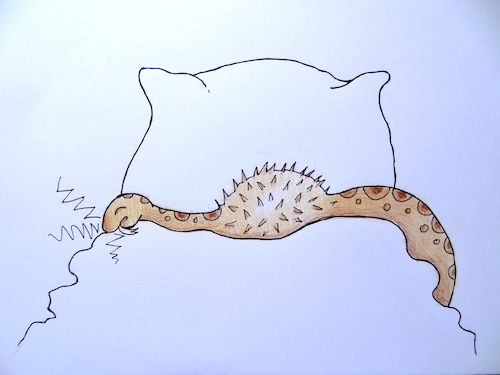Cartoon: igelchens nachtmahr... (medium) by katzen-gretelein tagged igel,bett,träume,schlange,nachtmahr