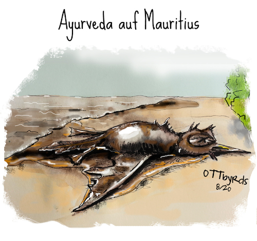 Cartoon: Ayurveda auf Mauritius (medium) by OTTbyrds tagged mauritius,ayurveda,öltanker,ölteppich,ölkatastrophe,ölpest,öldesaster,ölmassage,wakashio,umweltzerstörung,naturschutzgebiet