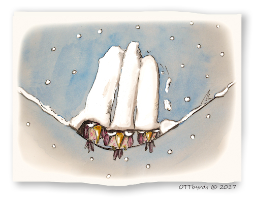 Cartoon: Leise rieselt der Schnee (medium) by OTTbyrds tagged schneefall,schneehaube,wintervögel,schneehauben,ottbyrds,schrägevögel,winterwonderland
