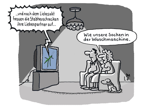 Cartoon: Aus der Tierwelt (medium) by Lo Graf von Blickensdorf tagged liebespartner,tierfilm,stabheuschrecke,geheimnis,socken,waschmaschine,auffressen,liebesakt,phänomen,karikatur,lo,graf,cartoon,sofa,fernseher,tv,ehepaar,ehefrau,ehemann,haushalt,beziehung,partner,mysteriös,einzelsocke,ungelöst,liebespartner,tierfilm,stabheuschrecke,geheimnis,socken,waschmaschine,auffressen,liebesakt,phänomen,karikatur,lo,graf,cartoon,sofa,fernseher,tv,ehepaar,ehefrau,ehemann,haushalt,beziehung,partner,mysteriös,einzelsocke,ungelöst