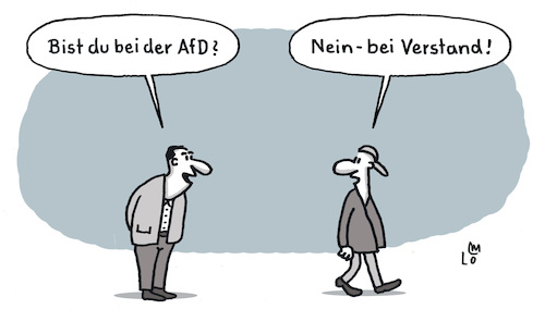 Wahlwerbung