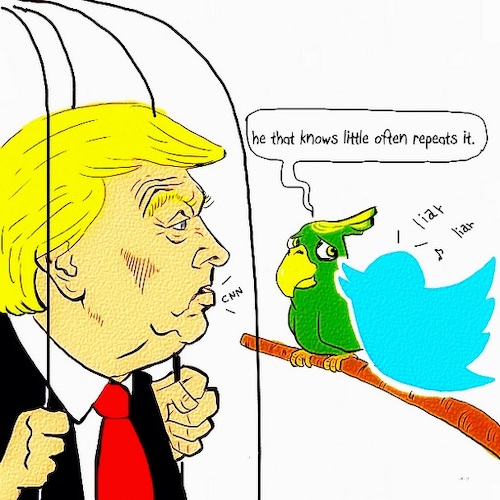 Cartoon: Talkative parrot (medium) by takeshioekaki tagged twitter