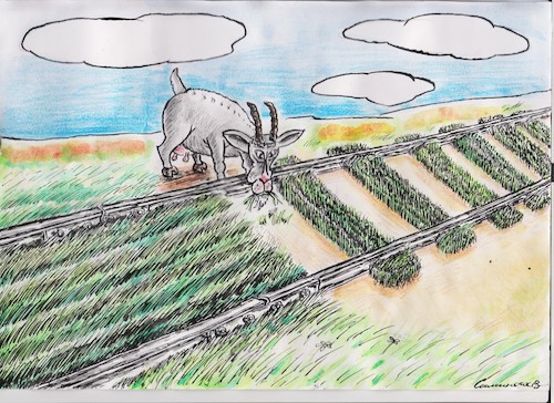 Cartoon: goat (medium) by vadim siminoga tagged goat,railway,politics,food,grass