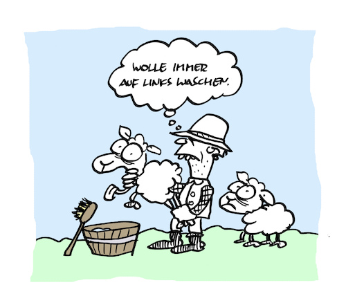Cartoon: Krempel (medium) by Bregenwurst tagged schaf,wolle,wäsche,auf,links