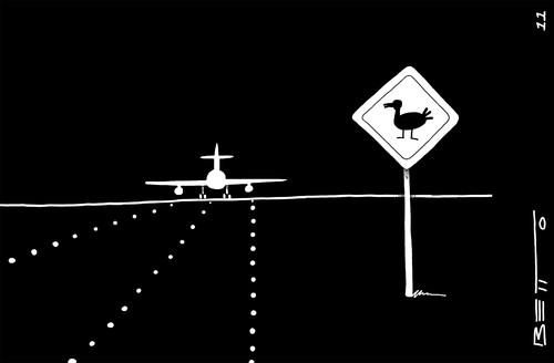 Cartoon: Seguridad aerea (medium) by BETTO tagged aerea,seguridad