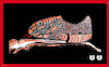 Cartoon: Snake Head shoe (small) by APPARAO ANUPOJU tagged snake,head,shoe