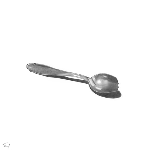 Cartoon: spoon (medium) by amir reza torkaman rahmani tagged tree