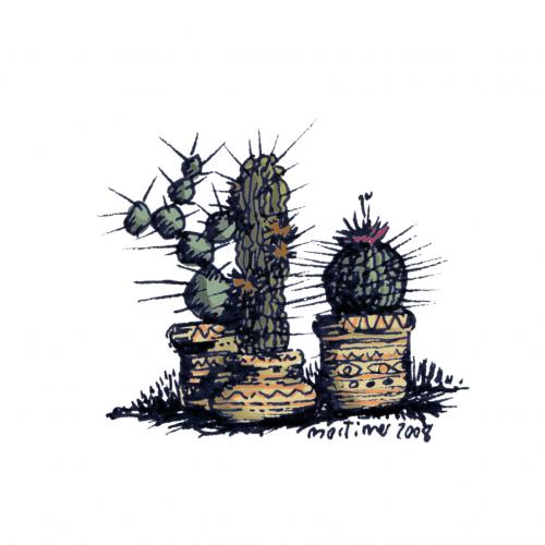 Cactus family