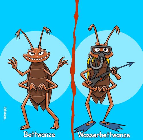 Bedbug