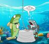 Fliegenfischen