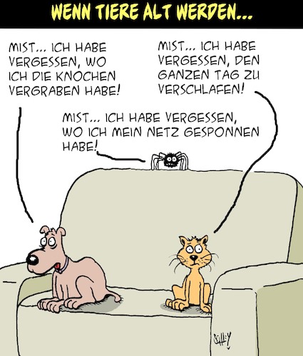 Cartoon: Das Alter... (medium) by Karsten Schley tagged alter,tiere,haustiere,hunde,katzen,spinnen,demenz,vergesslichkeit,lebenszeit,gesellschaft,alter,tiere,haustiere,hunde,katzen,spinnen,demenz,vergesslichkeit,lebenszeit,gesellschaft