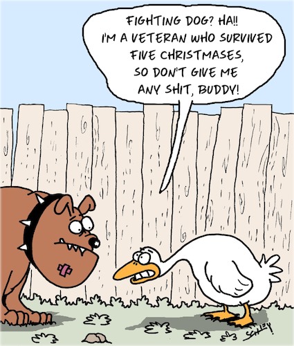 Cartoon: Fighting Dog (medium) by Karsten Schley tagged christmas,dogs,geese,animals,veterans,social,issues,food,seasonal,holidays,traditions,christmas,dogs,geese,animals,veterans,social,issues,food,seasonal,holidays,traditions