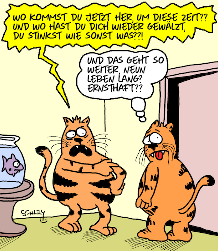 Cartoon: Katzencartoon (medium) by Karsten Schley tagged katzen,ehe,beziehungen,leben,männer,frauen,gesellschaft,katzen,ehe,beziehungen,leben,männer,frauen,gesellschaft