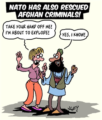 Cartoon: NATO (medium) by Karsten Schley tagged afghanistan,criminals,terrorism,politics,military,safety,society,afghanistan,criminals,terrorism,politics,military,safety,society