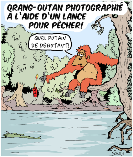 Cartoon: Orang-Outan avec une lance!! (medium) by Karsten Schley tagged animaux,evolution,nature,singes,nutrition,medias,animaux,evolution,nature,singes,nutrition,medias