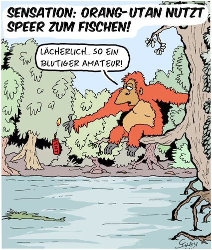 Orang-Utan benutzt Speer!!