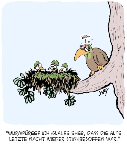 Vögel füttern