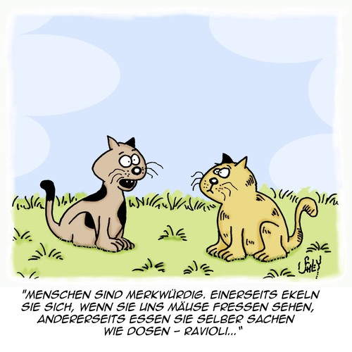 Cartoon: Von Katzen und Menschen (medium) by Karsten Schley tagged katzen,haustiere,tiere,menschen,nahrung,ernährung,fastfood,gesundheit,essen,katzen,haustiere,tiere,menschen,nahrung,ernährung,fastfood,gesundheit,essen