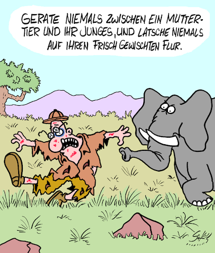 Cartoon: Vorsicht!!! (medium) by Karsten Schley tagged natur,wildnis,tiere,fortpflanzung,umwelt,verhalten,forschung,wissenschaft,natur,wildnis,tiere,fortpflanzung,umwelt,verhalten,forschung,wissenschaft