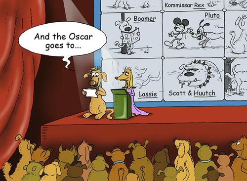 Cartoon: Oscar (medium) by Egero tagged oscar,dogs,hunde,egero,eger