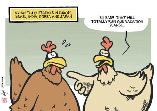 Cartoon: Avian flu upset (medium) by rodrigo tagged bird,flu,avian,influenza,chicken,h5n8,h5n9,h7n9