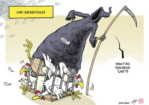 Cartoon: Chicken with flu (medium) by rodrigo tagged food,trade,health,china,kong,hong,chicken,flu,bird