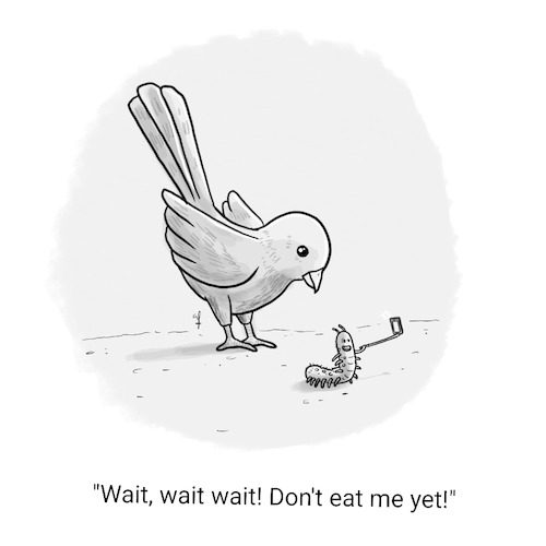 Cartoon: Foodporn (medium) by Fani tagged food,gadget,animal,bird