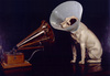 Cartoon: Masters voice (small) by tanerbey tagged master voice dog phonograph trademark emblem