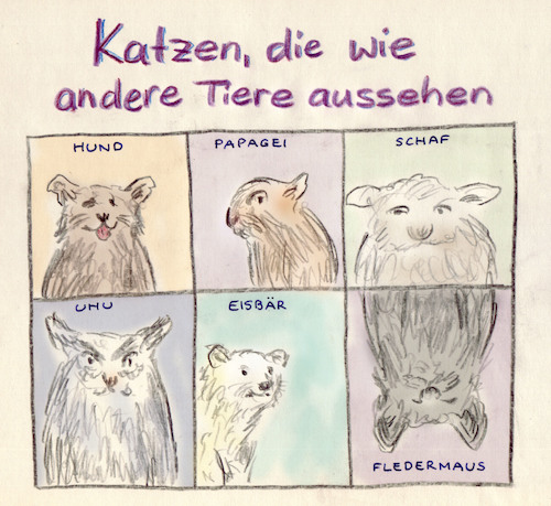Cartoon: Ähnlichkeiten (medium) by Bernd Zeller tagged katzen
