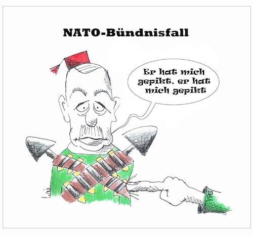 Cartoon: Nato-Bündnisfall (medium) by Fish tagged politik,nato,erdogan,türkei
