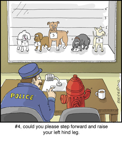 Cartoon: Dog Lineup (medium) by noodles tagged hydrant,fire,guilty,dogs,lineup,police